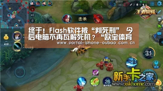 终于!Flash软件被“判死刑” 今后电脑不再瓦解死机?“欧宝体育”(图1) 欧宝体育