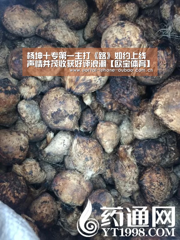 杨坤十专第一主打《路》如约上线 声情并茂收获好评浪潮【欧宝体育】(图1) 欧宝体育