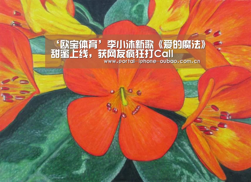 欧宝体育