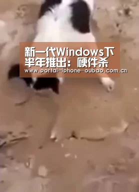 新一代Windows下半年推出:硬件杀手-欧宝体育(图2) 欧宝体育