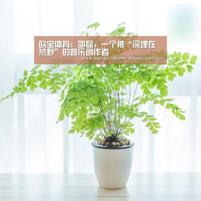 欧宝体育：邵磊，一个被“深埋在荒野”的音